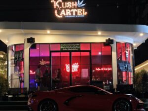 Kush Cartel Thailand - Dispensary and Lounge